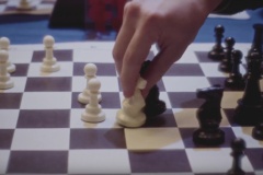 Пять шахматистов Красногвардейского выступят в финале турнира на приз Санкт‑Петербургской избирательной комиссии