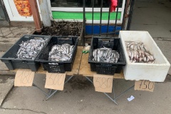 Сезон корюшки начали с изъятий