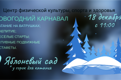 «Новогодний карнавал» во Фрунзенском районе