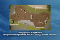 В Выборгском районе появится новая площадка для выгула собак