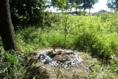 В парке "Александрино" обнаружены места незаконных захоронений животных