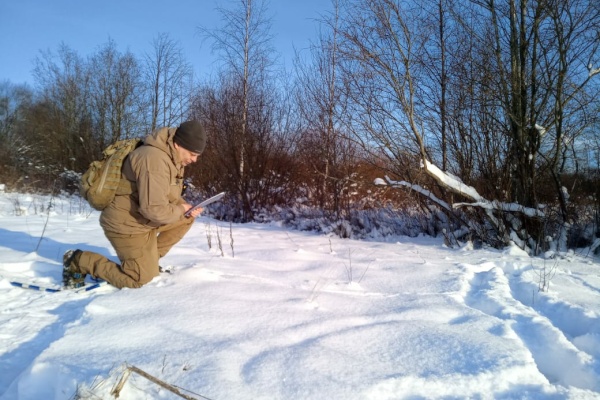 Экологи посчитают диких животных