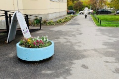 Поликлиники Фрунзенского района присоединились к месяцу благоустройства