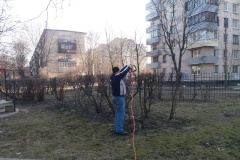На территории детского сада № 53 Фрунзенского района начато комплексное благоустройство
