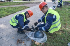 Любашинский сад предстанет в новом свете