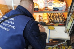 За три недели ежедневных рейдов от незаконных объектов уличной торговли освобождено около сотни земельных участков