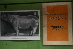 В Петроградском районе открылась выставка о жизни Ленинградского зоопарка в годы блокады