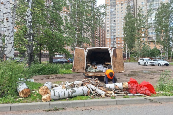 Уборка поваленных ветром деревьев на территории Выборгского района