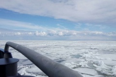 «Невская застава» продолжает работать в Онежском озере