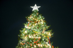 Зажжение праздничных огней на главной городской ёлке