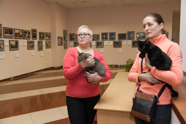 Открытие благотворительной фотовыставки "Котограф"  в Кронштадтском Дворце Молодежи