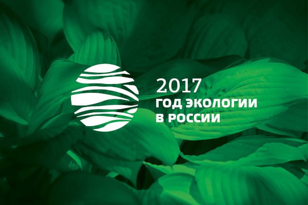 Для Года экологии в Российской Федерации утверждена официальная эмблема