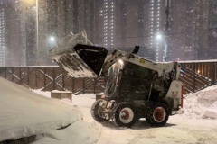 Заместитель главы администрации Елена Осипова проинспектировала качество уборки в квартале на Парнасе