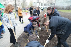 Апрельский субботник: где можно получить инвентарь в Центральном районе?