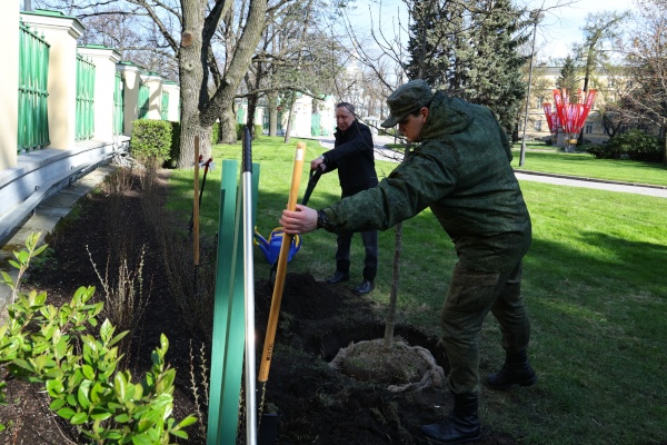 Посадка дуба в честь сотрудников городской администрации, принимающих участие в СВО