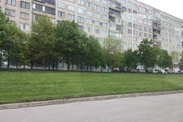 Плановый покос травы проходит в парках и скверах Невского района 