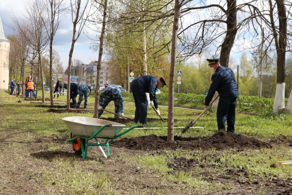 В Пушкине на пересечении Саперной и Гусарской улиц, вблизи стен нового Санкт‑Петербургского университета ФСИН России высадили 17 лип.