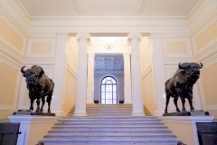 Александр Беглов: Завершена реставрация парадного вестибюля со скульптурами зубров в доме Пашкова