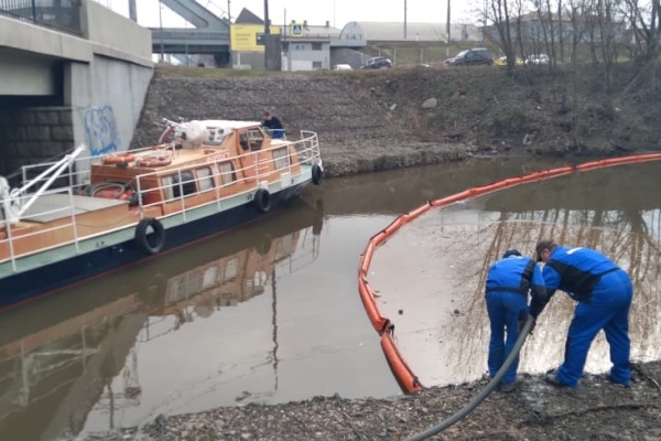 700 килограмм опасных отходов собрали экологи за неделю