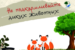 Не подкармливайте диких животных