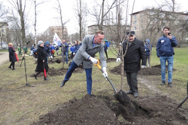 В Невском районе появилась аллея добровольцев