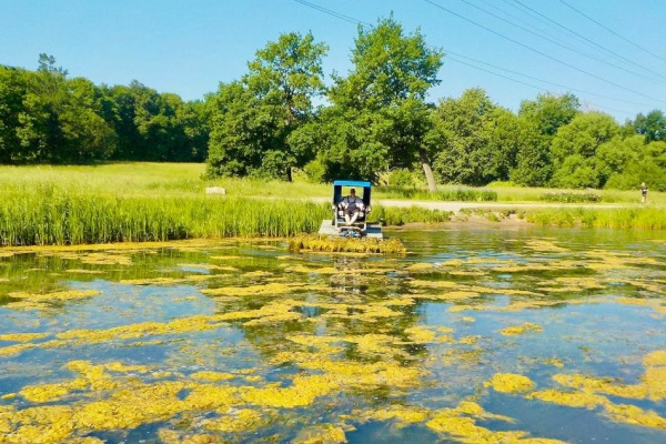 2,5 тонн опасных отходов приняли специалисты от жителей Петербурга