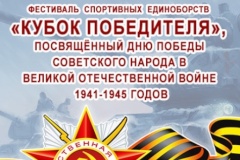 В Кировском районе состоится Фестиваль спортивных единоборств «Кубок победителя»