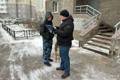 Порядка 20 владельцев собак привлекли к ответственности за нарушения правил выгула
