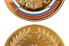 В Кировском районе поздравят медалистов-2013