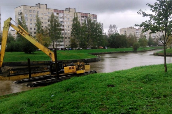 Специалисты комитета по природопользованию призывают муниципальные власти возобновить уборку водных объектов
