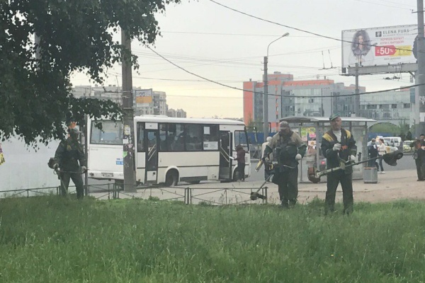 В Невском районе проходят работы по скосу травы