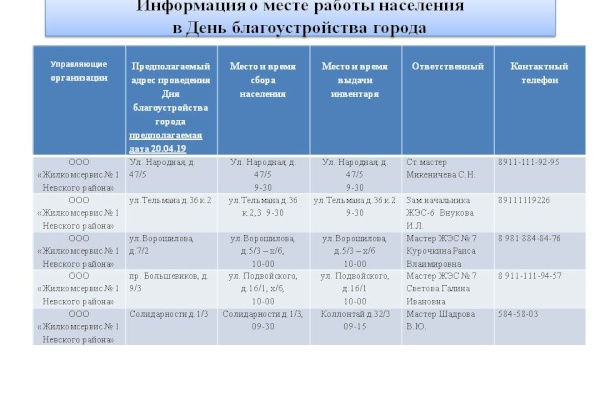 День благоустройства в Невском районе!