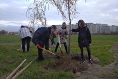 В рамках акции «Зеленая Россия» учащиеся школы № 322  и полицейские высадили ивы в парке Интернационалистов