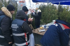Проводятся рейдовые мероприятия по выявлению и пресечению фактов незаконного занятия земельных участков под размещение ёлочных базаров