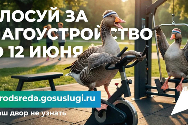 Стартовало голосование за объекты благоустройства