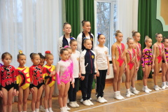 7 декабря 2019 года в Санкт‑Петербургском государственном бюджетном учреждении «Дом культуры «Рыбацкий» (Рыбацкий пр., д.2), в преддверии новогодних праздников, состоялись соревнования по спортивной аэробике «Новогодний турнир».