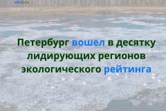 Петербург вошел в десятку лидирующих регионов экологического рейтинга