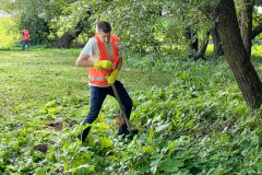 Общество охраны природы проверило качество борьбы с борщевиком в Полежаевском парке
