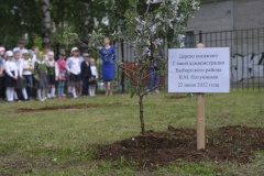 Алое небо 41 года