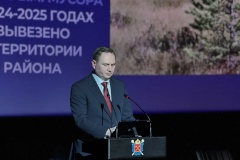 В 2026 году в Курортном районе запланировано благоустройство двух пляжей - в поселках Репино и Тарховка