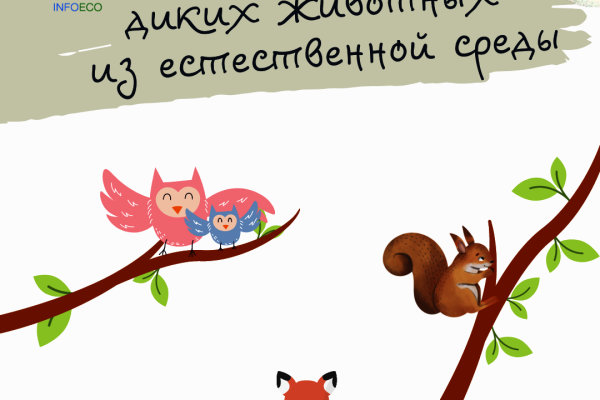 Комитет по природопользованию просит не изымать диких животных из естественной среды