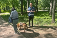 Жителей Петербурга проверили на соблюдение правил выгула собак