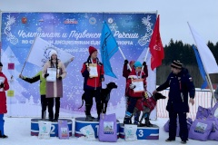 Успехи спортсменов Северной столицы на чемпионате и первенстве России по ездовому спорту