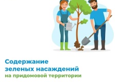 Содержание зеленых насаждений на придомовых территориях