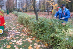 В месяц благоустройства территорию района продолжают очищать от мусора и листвы