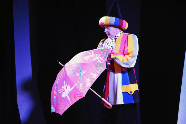 «Дюймовочку» транслировали онлайн из Библиотечно-культурного комплекса им. Молчанова