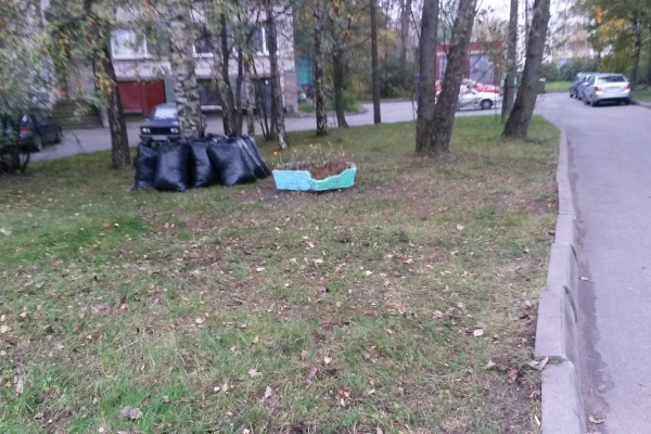 Осенний месячник по благоустройству 2016 года - 12 октября