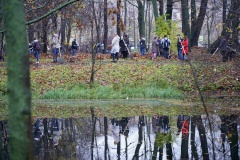 В рамках осеннего Дня благоустройства от мусора и листьев очищен парк бывшей усадьбы Ланских на проспекте Энгельса