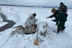 Браконьеры под прицелом закона: петербуржцы открыли сезон охоты