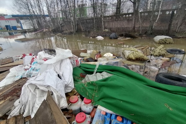 За ущерб окружающей среде взыскали более двух миллионов рублей